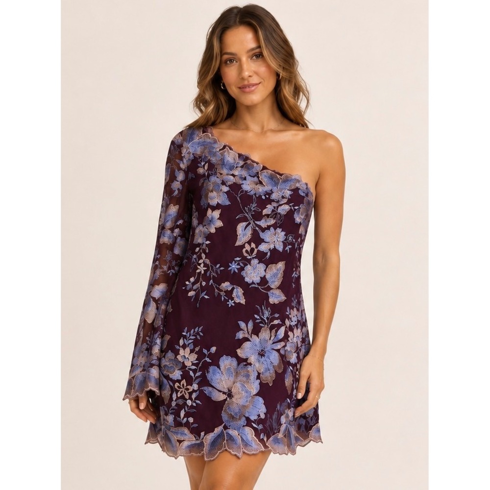 Free People Rosalie One Shoulder Floral Embroidered Mini Dress Wine Size 0 NWT